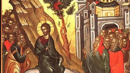 NA CVETI POČINJE VELIKA NEDELJA Svaki cvet koji uberete ima svoje značenje, verski analitičar otkriva značenje praznika