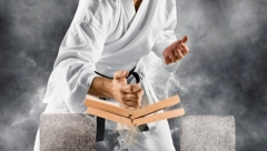 KARATISTA PREBIO DIVLJU ZVER Pokušala da ga ugrize, pa se predomislila kad je dobila nogom u glavu!