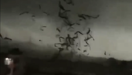 HOROR SCENA, IMA MRTVIH Tornado razara kineski grad (VIDEO)