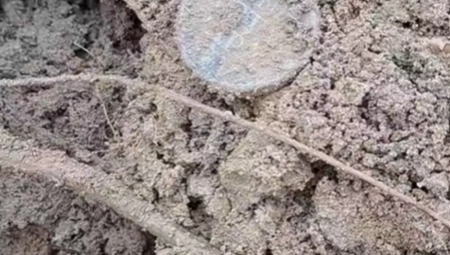 IZVUKAO GA IZ BLATA Muškarac u šumi pronašao predmet star 250 godina, evo kome je pripadao (FOTO/VIDEO)
