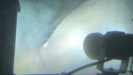 SNIMAK MORSKOG ČUDOVIŠTA ZAPREPASTIO INTERNET Veruje se da je predator postojao još pre dinosaurusa! (VIDEO)