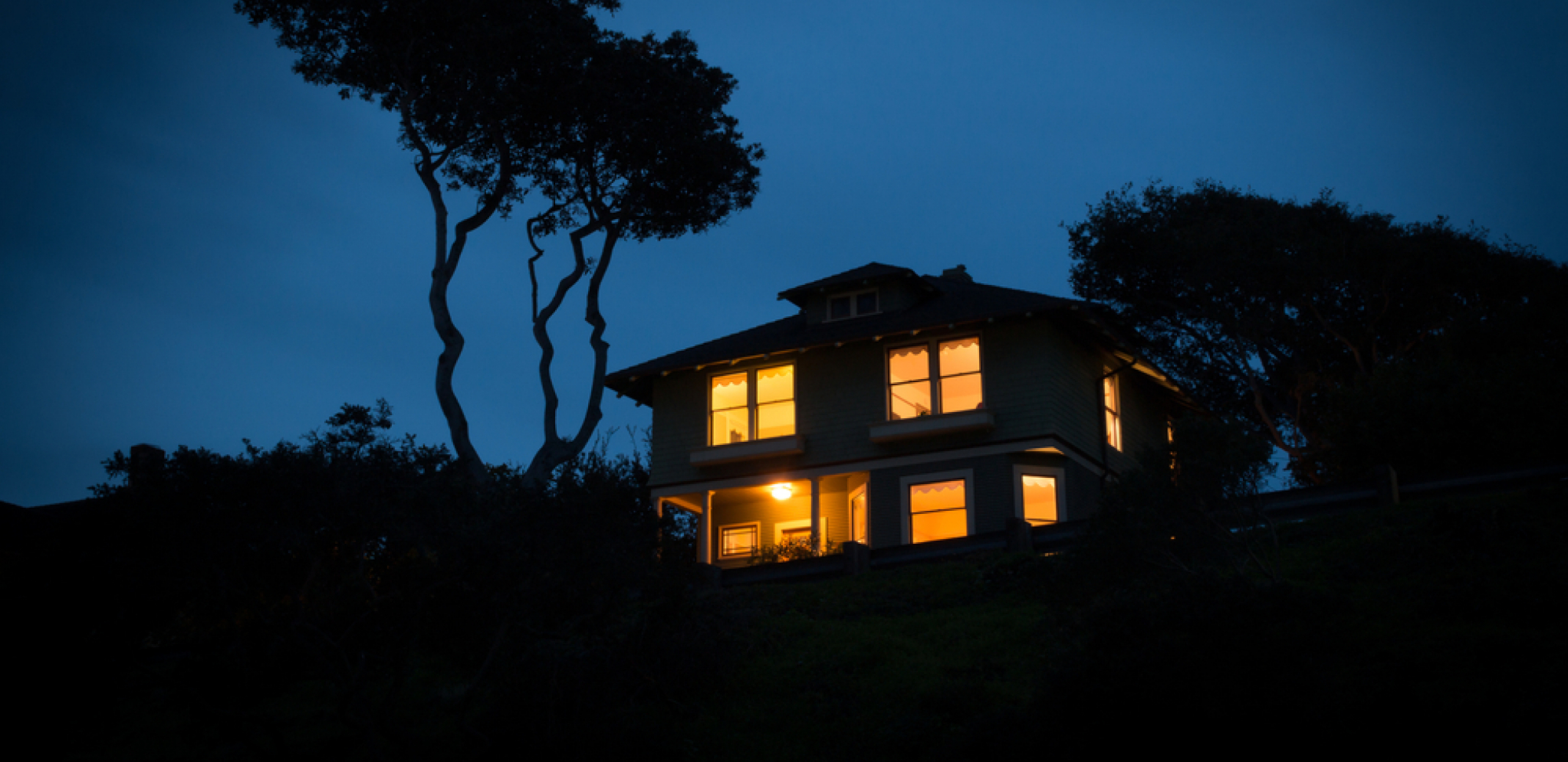 PSI U TOKU NOĆI POČELI BESNO DA LAJU Žena čula da u mraku nešto šuška, prizor koji je videla ledi krv u žilama! (VIDEO)