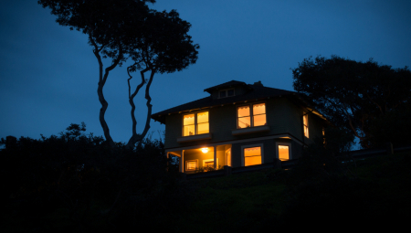 PSI U TOKU NOĆI POČELI BESNO DA LAJU Žena čula da u mraku nešto šuška, prizor koji je videla ledi krv u žilama! (VIDEO)