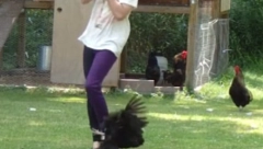 GDE SI KRENULA? Kokoške napale ženu na farmi (VIDEO)