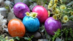 OSTALO VAM MNOGO FARBANIH JAJA? Evo koliko dana mogu da stoje pre nego što se pokvare i da li moraju da budu u frižideru