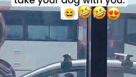 OSTAO SAM, PA SEO ZA VOLAN Čovek zaboravio PSA u kolima, a onda je usledila URNEBESNA scena (VIDEO)