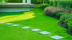 DA LI VAM JE UREĐENO DVORIŠTE ILI JE SVE U BETONU? Psiholog otkrila šta to govori o vašoj ličnosti, ovaj detalj vam se neće dopasti