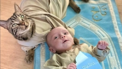 MAMA STAVILA BEBU U KREVETAC, ALI JE MAČAK IMAO LJUBOMORNU REAKCIJU Ono što je usledilo ostavilo ljude u neverici! (VIDEO)