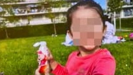 DEVOJČICA (3) JE NESTALA IZ PARKA UBRZO NAKON OVE FOTOGRAFIJE 13 sati kasnije našli su je u stanu starijeg čoveka