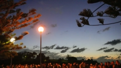 DOKAZ DA JE ČOVEK NAJVEĆA ŽIVOTINJA Prikradaju se noću sa testerama, unište sve što mogu, a razlog je užasan