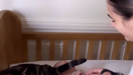 LJUBOMORAN NA NOVOG ČLANA PORODICE Mama stavila bebu u krevetac, mačak ODMAH uskočio (VIDEO)