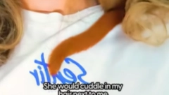 PREKO DANA U ŠUMI, UVEČE U SOBI U KREVETU Ova devojka je za ljubimca uzela BEBU VEVERICU (VIDEO)