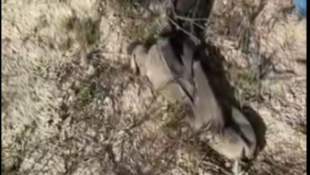 VOJNI VETERAN ISTRAŽIVAO PUSTINJU, PA NAIŠAO NA JEZIVO OTKRIĆE ,,Možda je ovo delo serijskog ubice...''