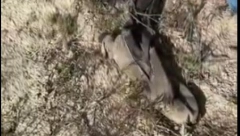 VOJNI VETERAN ISTRAŽIVAO PUSTINJU, PA NAIŠAO NA JEZIVO OTKRIĆE ,,Možda je ovo delo serijskog ubice...''