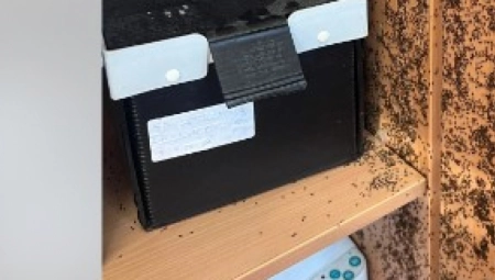 MISLILA JE DA SU U PITANJU ZRNA KAFE Ali kada su počela da se pomeraju i da puze po šoljama, vilica joj je pala od šoka!