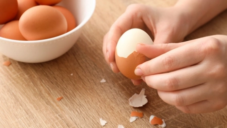 3 SJAJNE PRIMENE LJUSKI OD JAJA U BAŠTI: Ne postoji bolje đubrivo za biljke, a tek šta mogu da učine za ptice