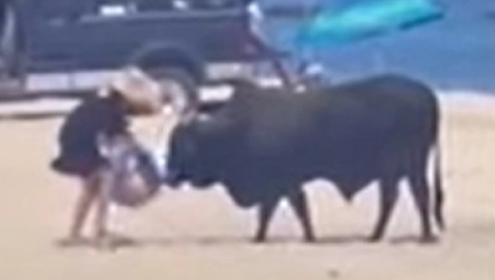 ŽENA SE SUSRELA OČI U OČI SA ROGATOM ZVERI Umesto da se povuče, pokušala da nahrani bika, usledio haos! (VIDEO)