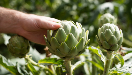 LJUŠTENJEM OVOG POVRĆA ZARADE 4 PLATE "Niko ne može iz prvog puta"