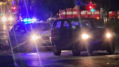 POKOŠEN PEŠAK! Jeziva scena u Novom Sadu (FOTO)