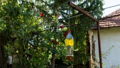 POPRSKAJTE OVO PO KUĆI I PO BAŠTI Prirodna tečnost koju komarci, ose i stršljenovi ne podnose
