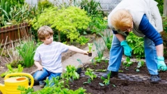 OD JUNA DO SEPTEMBRA "ROVARE" PO VAŠOJ BAŠTI Obranite se od štetočina tokom letnjih meseci