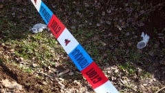 KRVAVI ĐURĐEVDAN U SMEDEREVSKOJ PALANCI Ubila slepu staricu, pa orgijala sa deverom pored leša