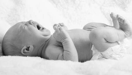 DVA PSA NASMRT IZUJEDALA TROMESEČNU BEBU! Nije joj bilo spasa...