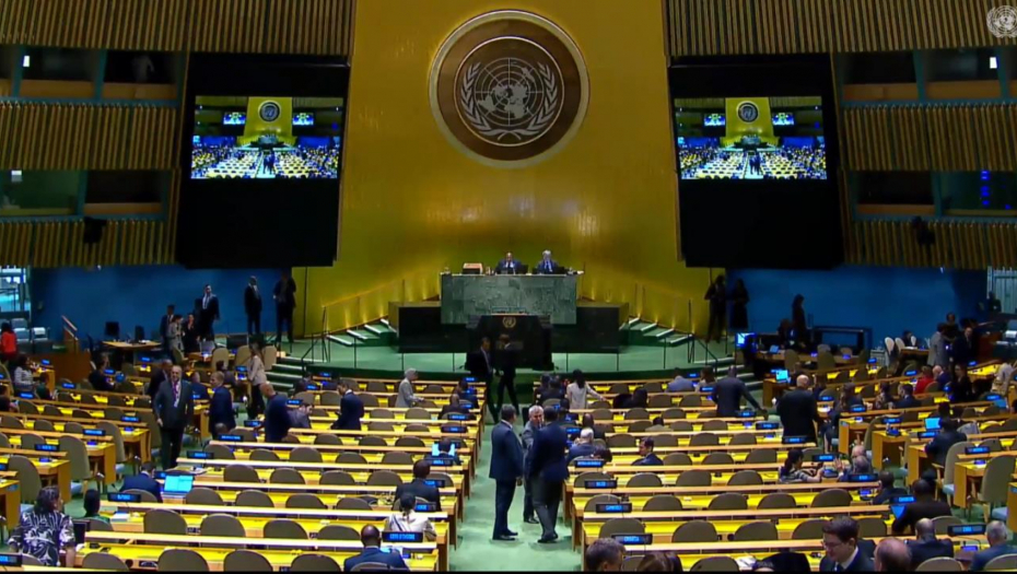 "PRODUBIĆE JAZ IZMEĐU NARODA U BiH, HRVATA, SRBA I BOŠNJAKA..." Predstavnik Venecuele o nacrtu Rezolucije o Srebrenici