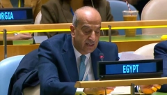 PREDSTAVNIK EGIPTA U UN Ovo rizikuje da se ponovo ožive svi sukobi i nesuglasice