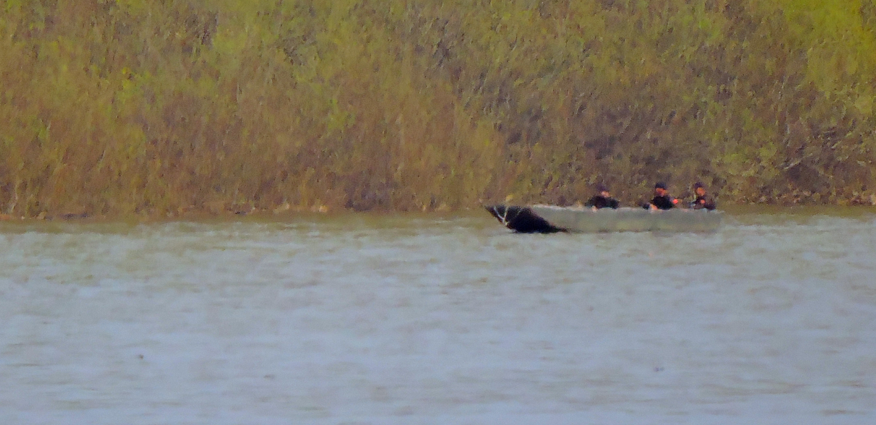 STRAVIČNA SAOBRAĆAJNA NESREĆA Izvučeno mrtvo telo iz reke Drave