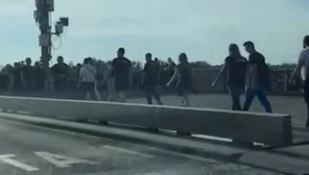 NEVIĐENA GUŽVA NA BRANKOVOM MOSTU Gde idu svi ovi ljudi? Alo! otkriva razlog krkljanca (VIDEO)