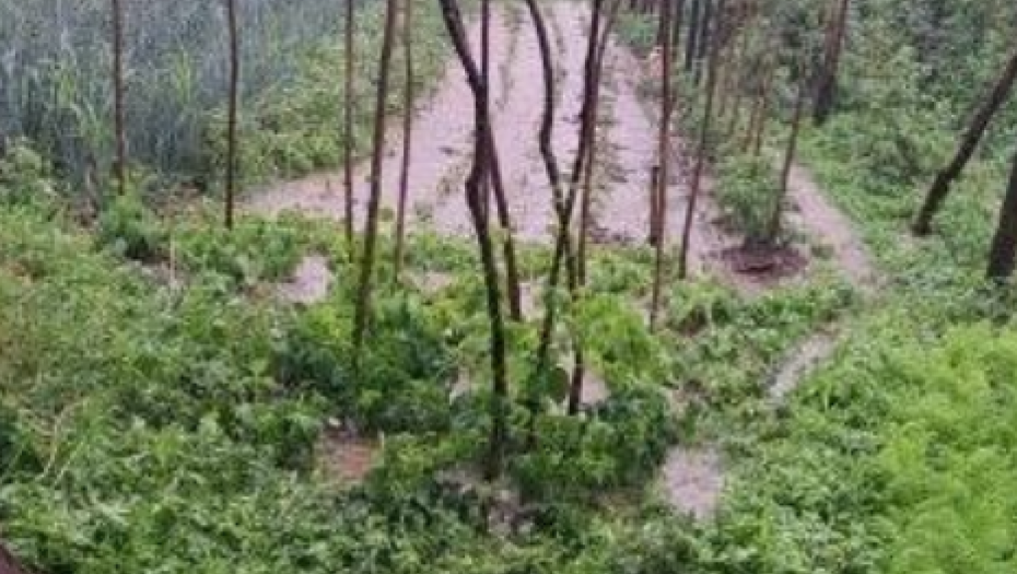 NEVREME NAPRAVILO HAOS U ZAPADNOJ SRBIJI Potop, ljudi jedva mogu iz dvorišta