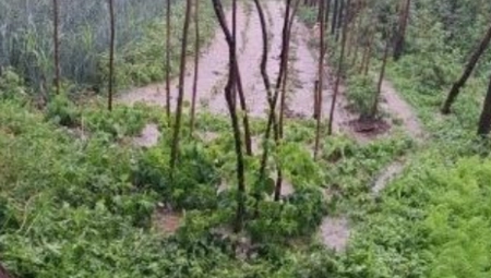 NEVREME NAPRAVILO HAOS U ZAPADNOJ SRBIJI Potop, ljudi jedva mogu iz dvorišta