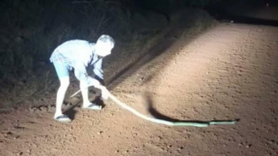 SNIMLJEN JEZIV PRIZOR Prišao je zmiji sa leđa, a ono što se zatim desilo ledi krv u žilama (VIDEO)