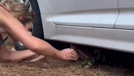 ŽENA VIDELA NOGE ISPOD AUTOMOBILA I ČULA KRIK Njen humani gest pokrenuo raspravu na društvenim mrežama! (VIDEO)