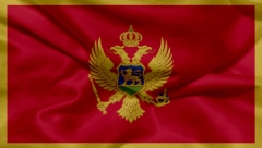 ĐETIĆE "NAPALA" STAROST! Alarmantni rezultati popisa u Crnoj Gori