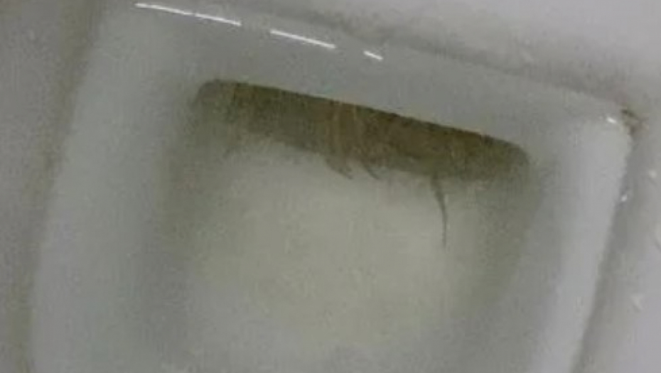 ŠTA JE OVO LJUDI MOJI ? Devojka se prestravila horor prizorom u kupatilu, hitno zatražila pomoć! (FOTO)