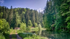 LJUDI IZNENAĐENI Na našoj planini cene izuzetno povoljne (FOTO)
