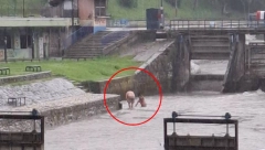 ŠTA JE OVO LJUDI MOJI?! Pljušti kiša u Užicu, a oni se kupaju usred nevremena, prolaznici ZINULI u čudu! (FOTO)
