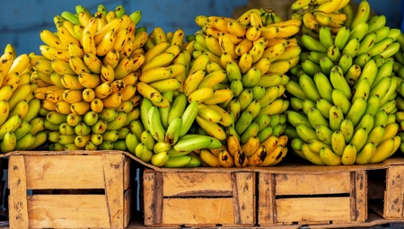 ZAŠTO OVA SLIKA BANANA KRUŽI INTERNETOM? Saznajte koje treba jesti, a koje izbegavati