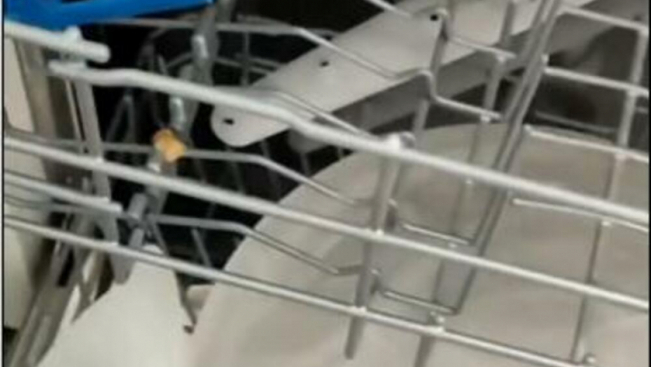 KAKO JE OVO MOGUĆE? Nikada više nećete sušiti sudove u mašini kada vidite kakve gadosti iz nje izlaze