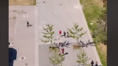 DUH BLOKOVA JAČI NEGO IKAD: Nikad više zelenila i parkova za mališane, evo KOJE su čari Novom Beograda! (VIDEO)