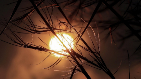SITUACIJA JE KRITIČNA Hanoduras proglasio vanredno stanje