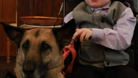 NEVEROVATNA PRIČA Udomili psa da bi pomogao bolesnom detetu - počela je nekontrolisano da CVILI, a onda... (FOTO)