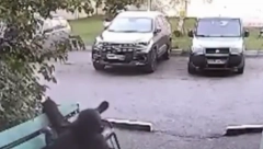 DEČKO JE PARKURISTA Pao sa trećeg sprata, ustao i odšetao (VIDEO)
