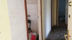 STAN STRAVE I UŽASA NADOMAK BEOGRADA Sin jeo mrtvog oca, jezivi detalji horora iz Glogonjskog rita koji se još uvek pamte