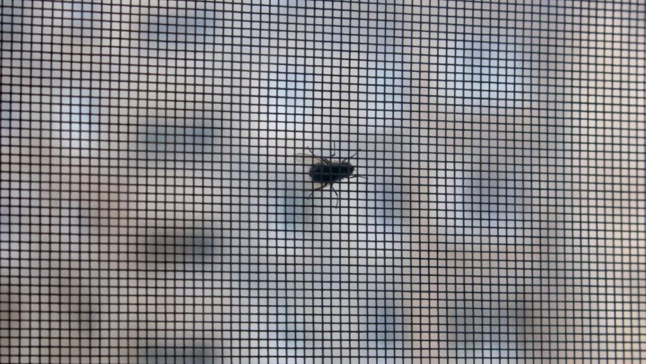 MREŽICA JE PROŠLOST Muve i komarci neće ulaziti kroz otvoren prozor zbog ove jedne stvari!