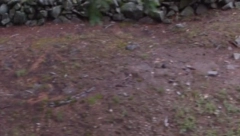JEZIVI SNIMAK ZBOG KOG ĆETE SE TRESTI OD STRAHA Žena ugledala DUHA na groblju (VIDEO)