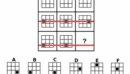 REŠIĆE GA SAMO PRAVI INTELEKTUALCI Ovaj test često koriste i poslodavci na razgovoru za posao (VIDEO)