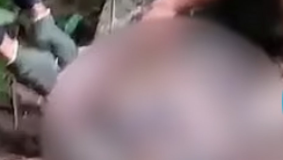 (UZNEMURUJUĆI VIDEO) PITON PROGUTAO ŽENU Meštani rasporili zmiju i našli telo